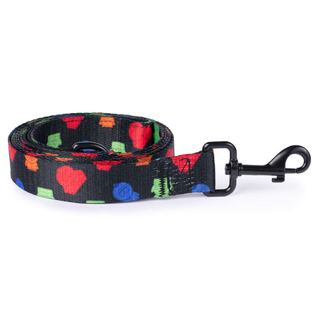 South Park Boys Pet Leash