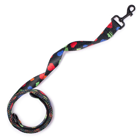 South Park Boys Pet Leash