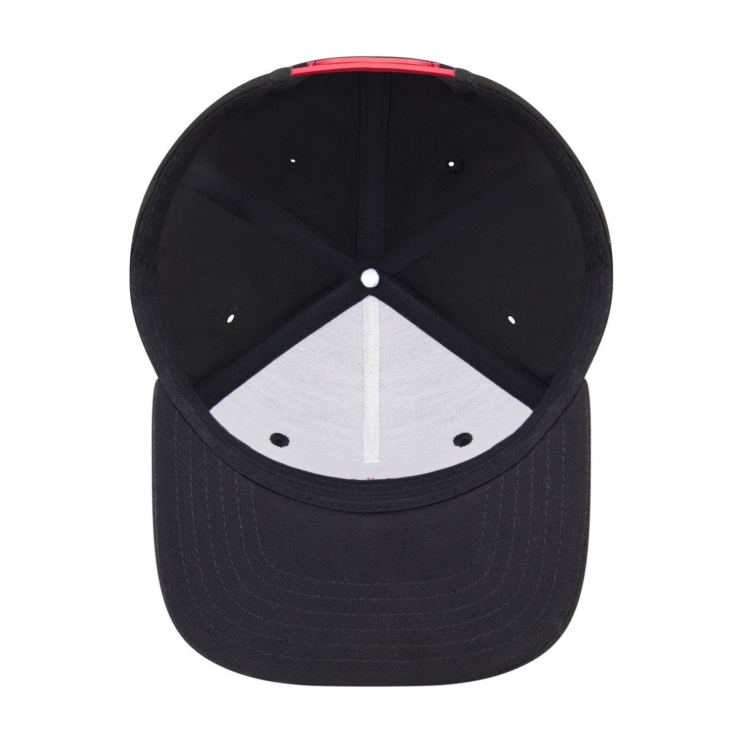 Rear view of South Park hat showing adjustable snapback closure